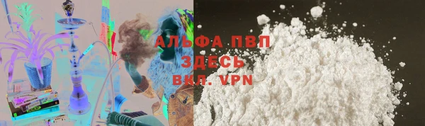 apvp Каменка