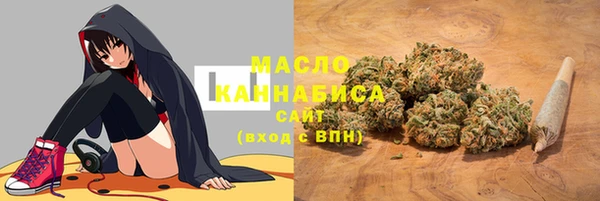 Альфа ПВП Инсар