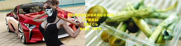 Альфа ПВП Инсар