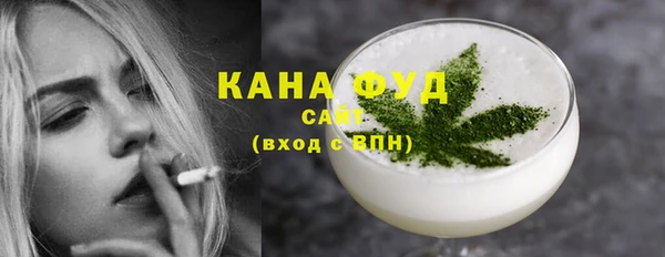 Альфа ПВП Инсар