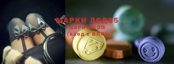 Альфа ПВП Инсар