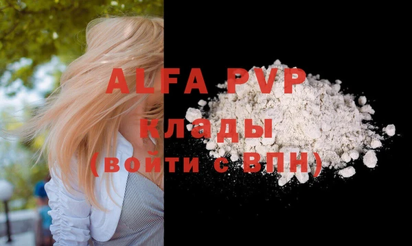 эйфоретик Инта