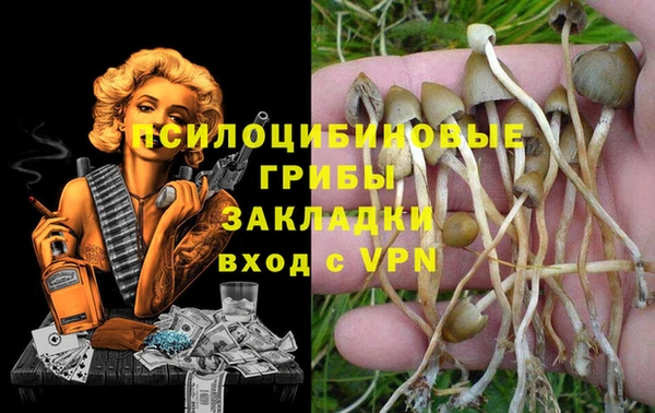 Альфа ПВП Инсар